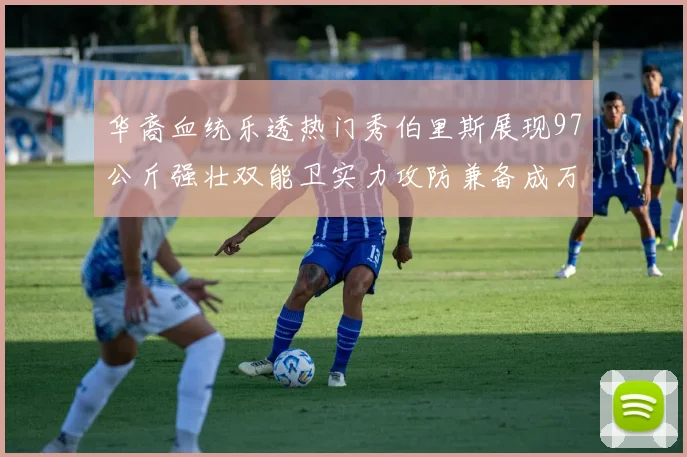 华裔血统乐透热门秀伯里斯展现97公斤强壮双能卫实力攻防兼备成万金油之选